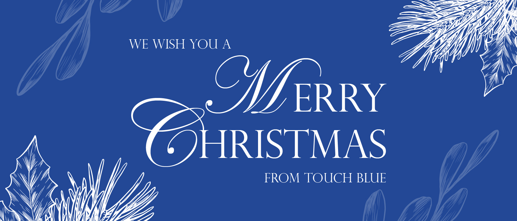 Merry Christmas and Happy New year from all of us at Touch Blue!